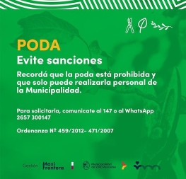 👉🌳Vecinos y vecinas, es importante recordar que la poda de árboles está prohibida 