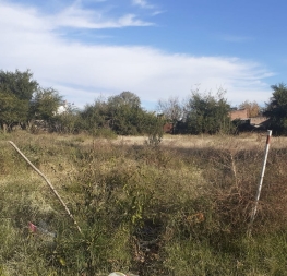 📝✅️Nuevas inspecciones en terrenos